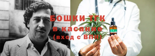 шишки Алексеевка