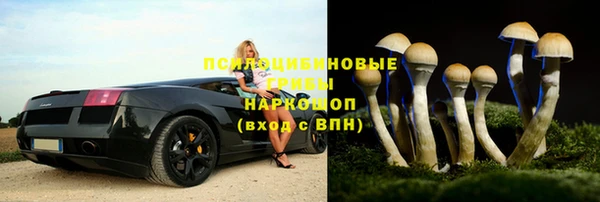 героин Алзамай