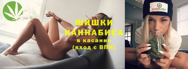 шишки Алексеевка